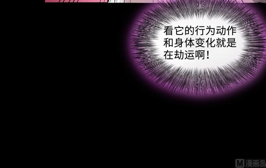 第292话东方神机术2-剃头匠-云栖动漫（第39张）