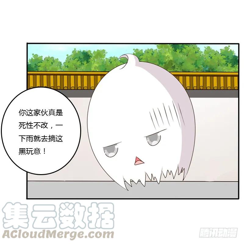 玉子墨来访-通灵妃-肉肉（第21张）