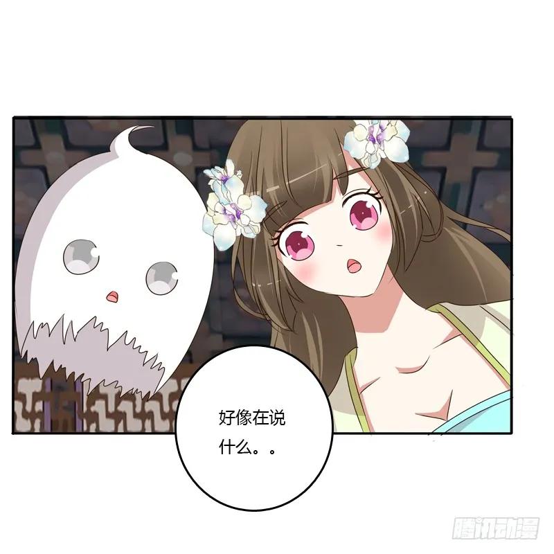 不让走-通灵妃-肉肉（第18张）