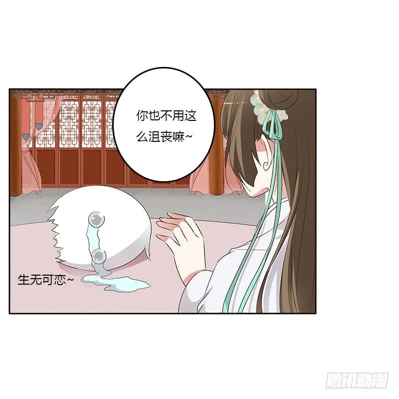 本来面目-通灵妃-肉肉（第6张）