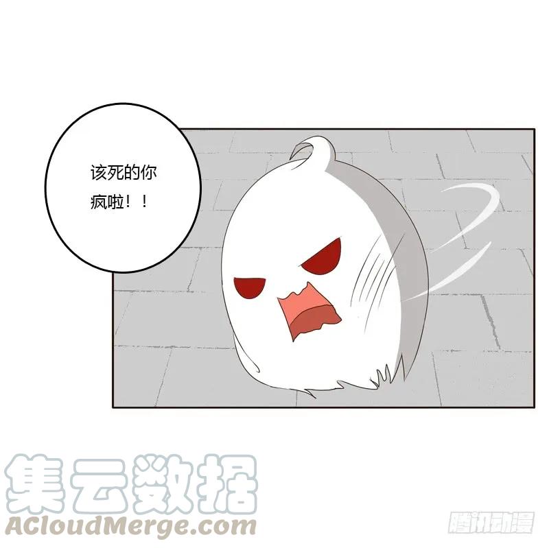 别惹我！-通灵妃-肉肉（第12张）