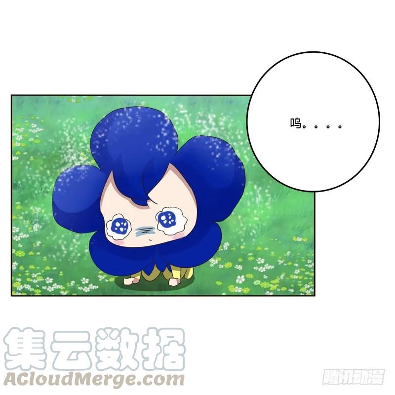 别惹我！-通灵妃-肉肉（第4张）