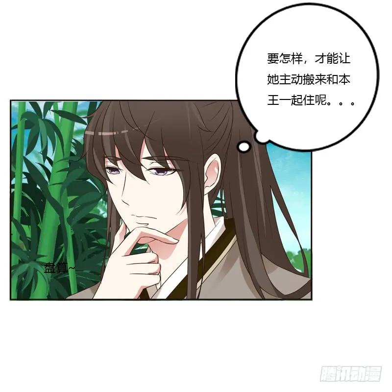 王爷的计谋-通灵妃-肉肉（第16张）