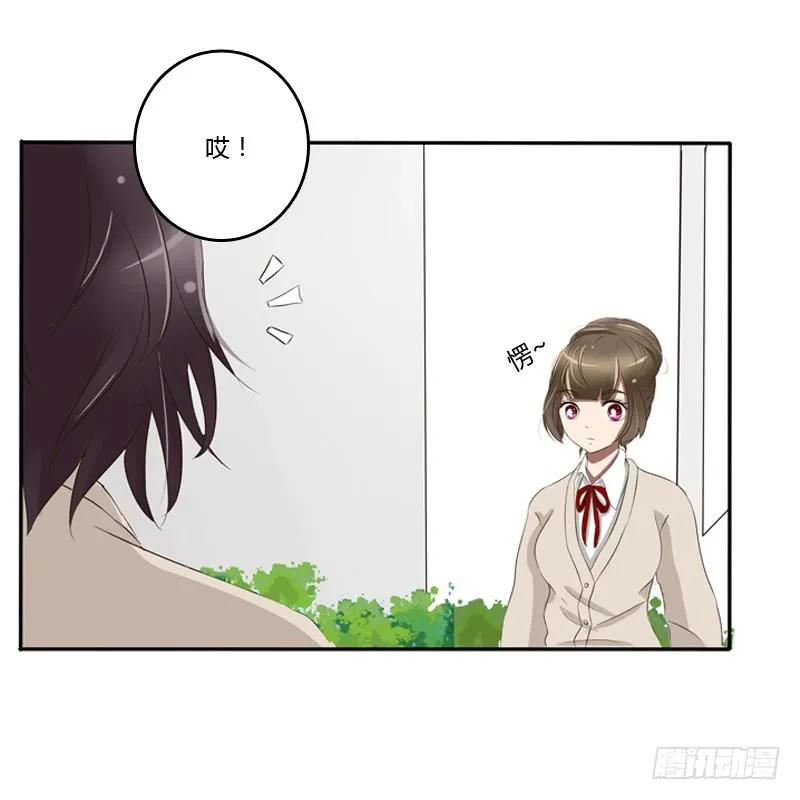 通灵妃校园版番外（重传）-通灵妃-肉肉（第24张）