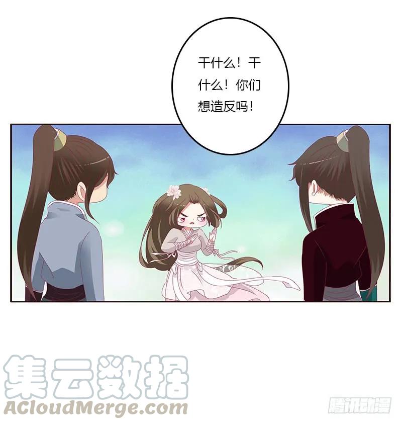 灵骨草-通灵妃-肉肉（第5张）