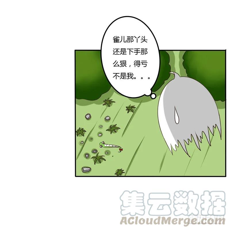 雀儿-通灵妃-肉肉（第29张）