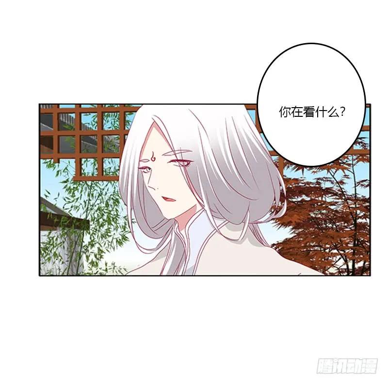 本君很不爽-通灵妃-肉肉（第11张）