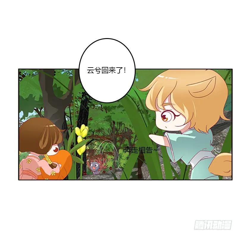 云兮回来了-通灵妃-肉肉（第11张）