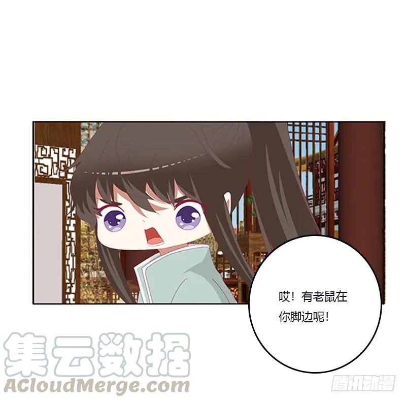肆意指婚-通灵妃-肉肉（第12张）