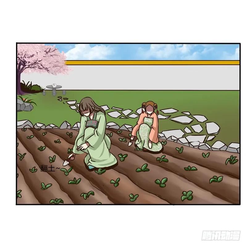 田园生活-通灵妃-肉肉（第6张）