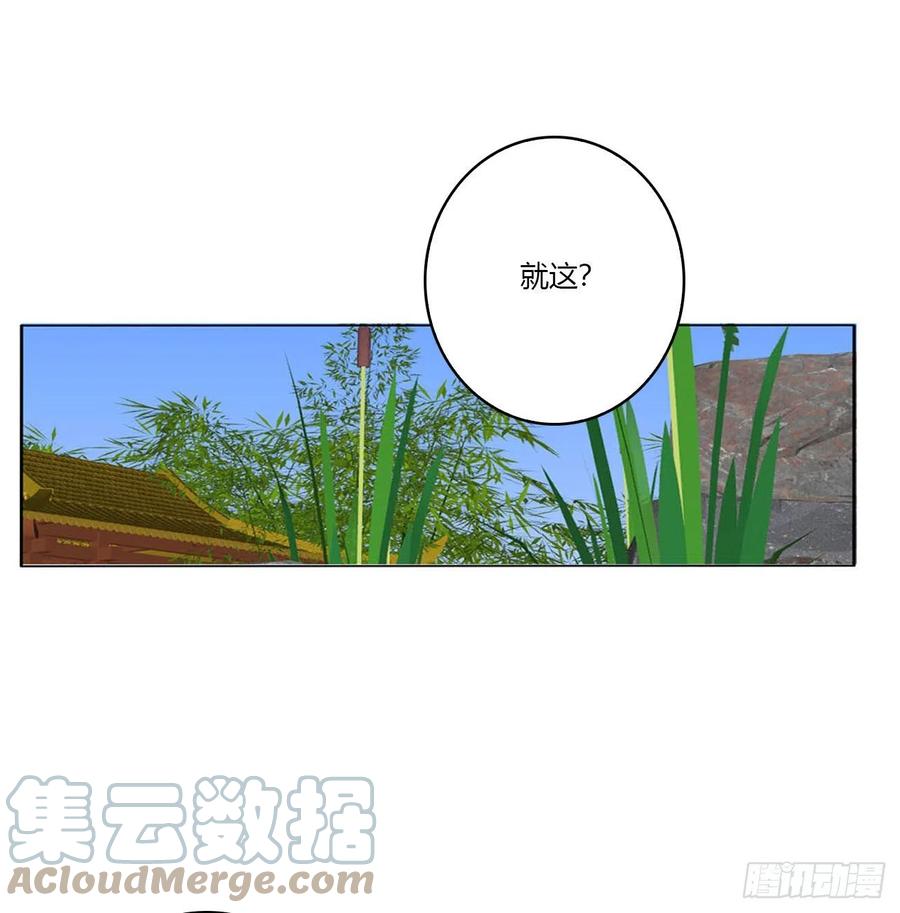 一致对外-通灵妃-肉肉（第4张）