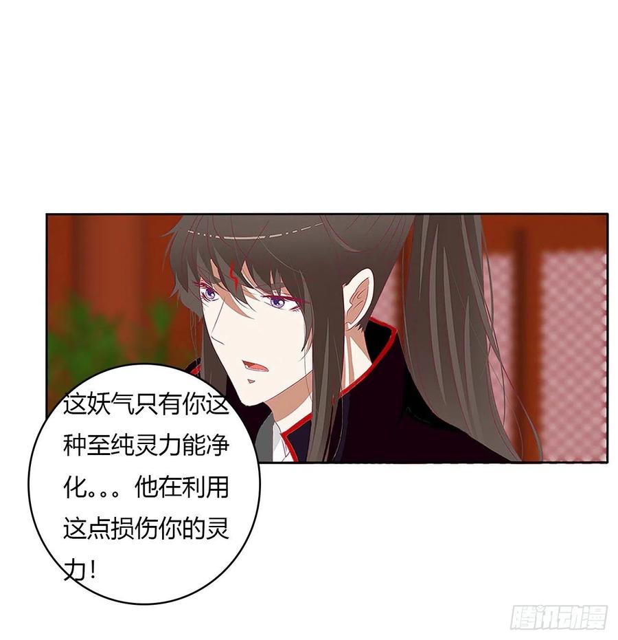 旭离的阴谋-通灵妃-肉肉（第17张）