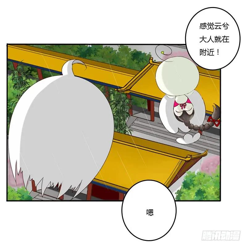 风雅-通灵妃-肉肉（第2张）