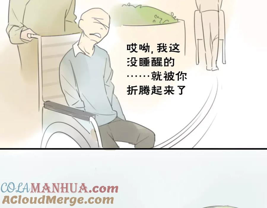 28.jpg