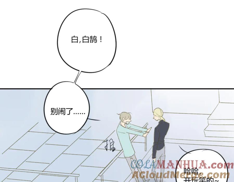 49.jpg