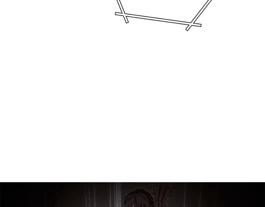 243.jpg