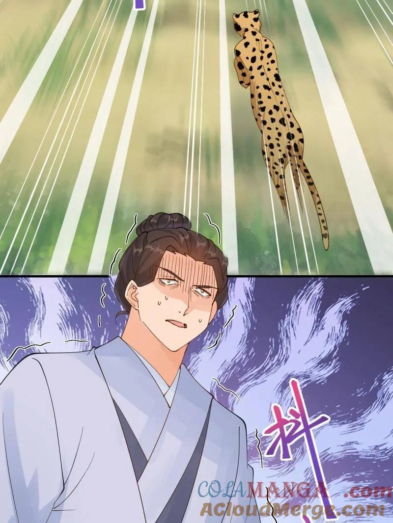 77.jpg