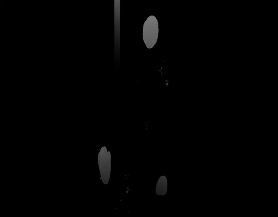 110.jpg