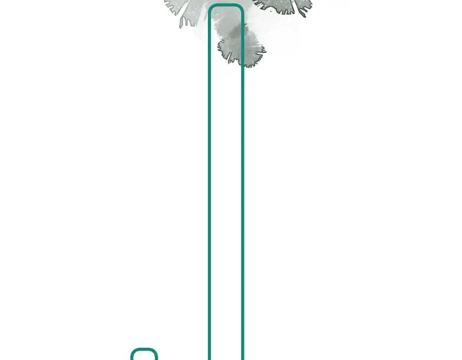 111.jpg