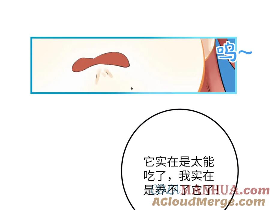 81.jpg