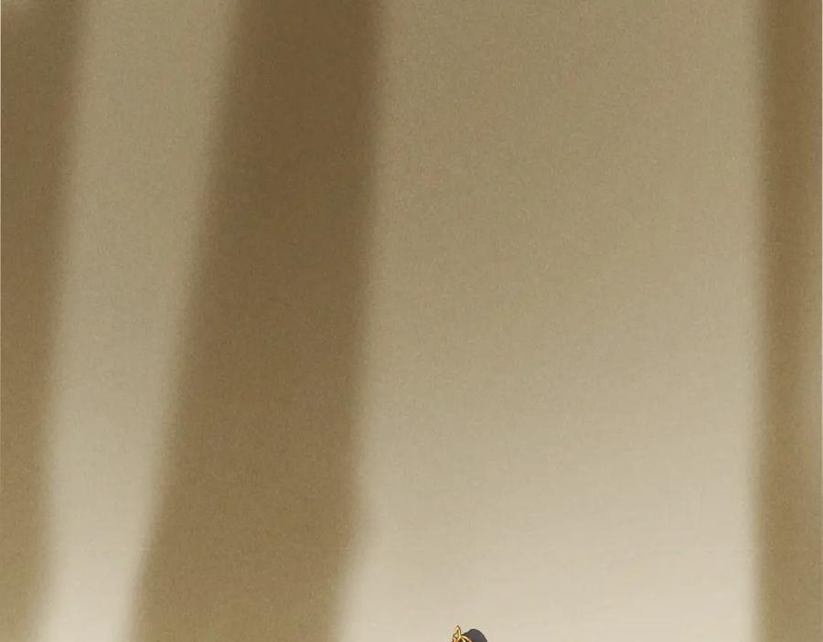 110.jpg