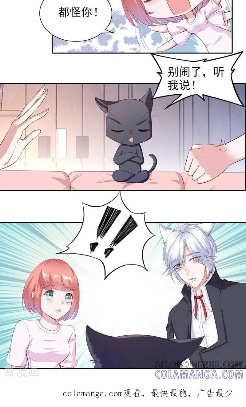 第68话-以猫的名义爱上你-咪咕数媒（第13张）