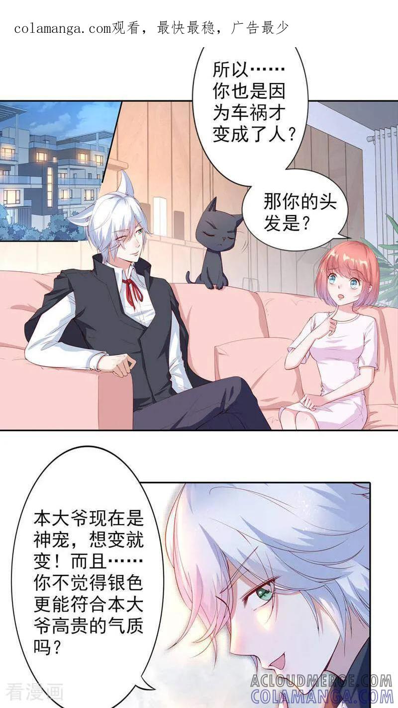 第68话-以猫的名义爱上你-咪咕数媒（第1张）