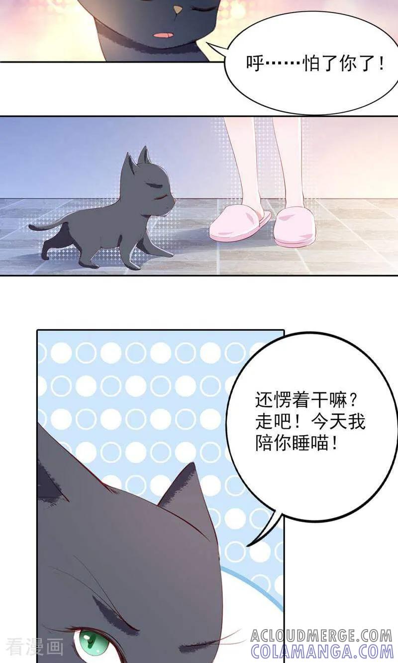 第69话-以猫的名义爱上你-咪咕数媒（第11张）