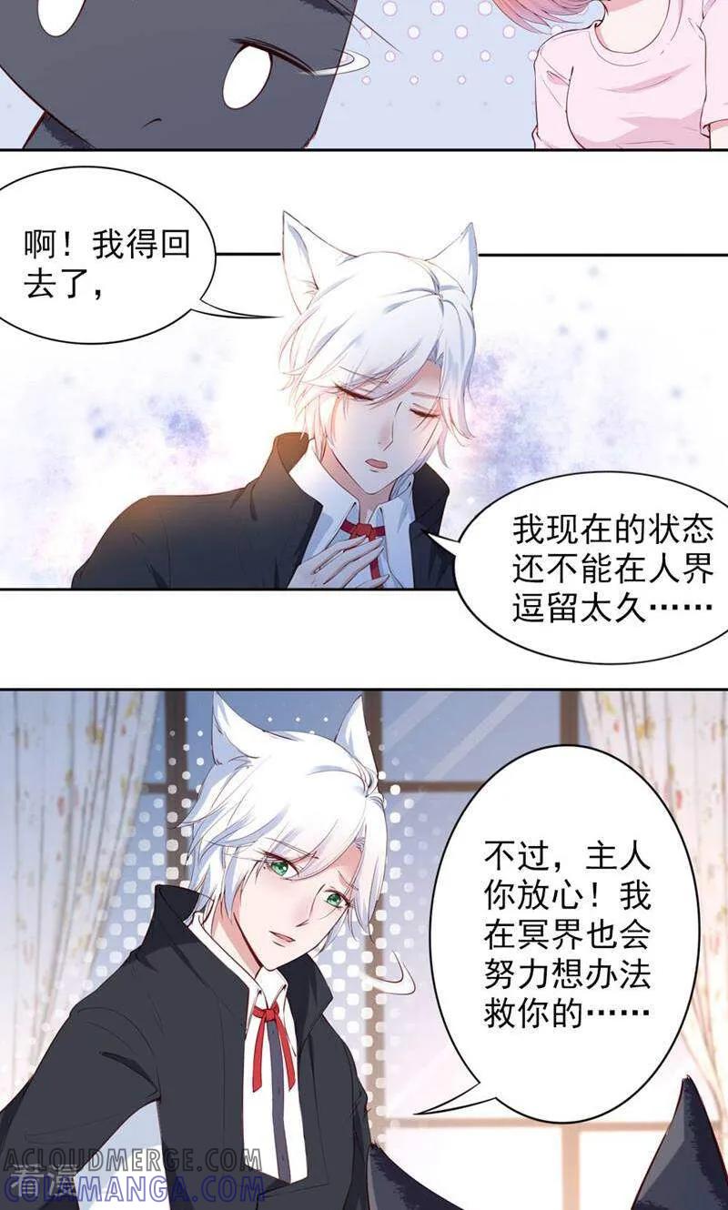 第69话-以猫的名义爱上你-咪咕数媒（第2张）