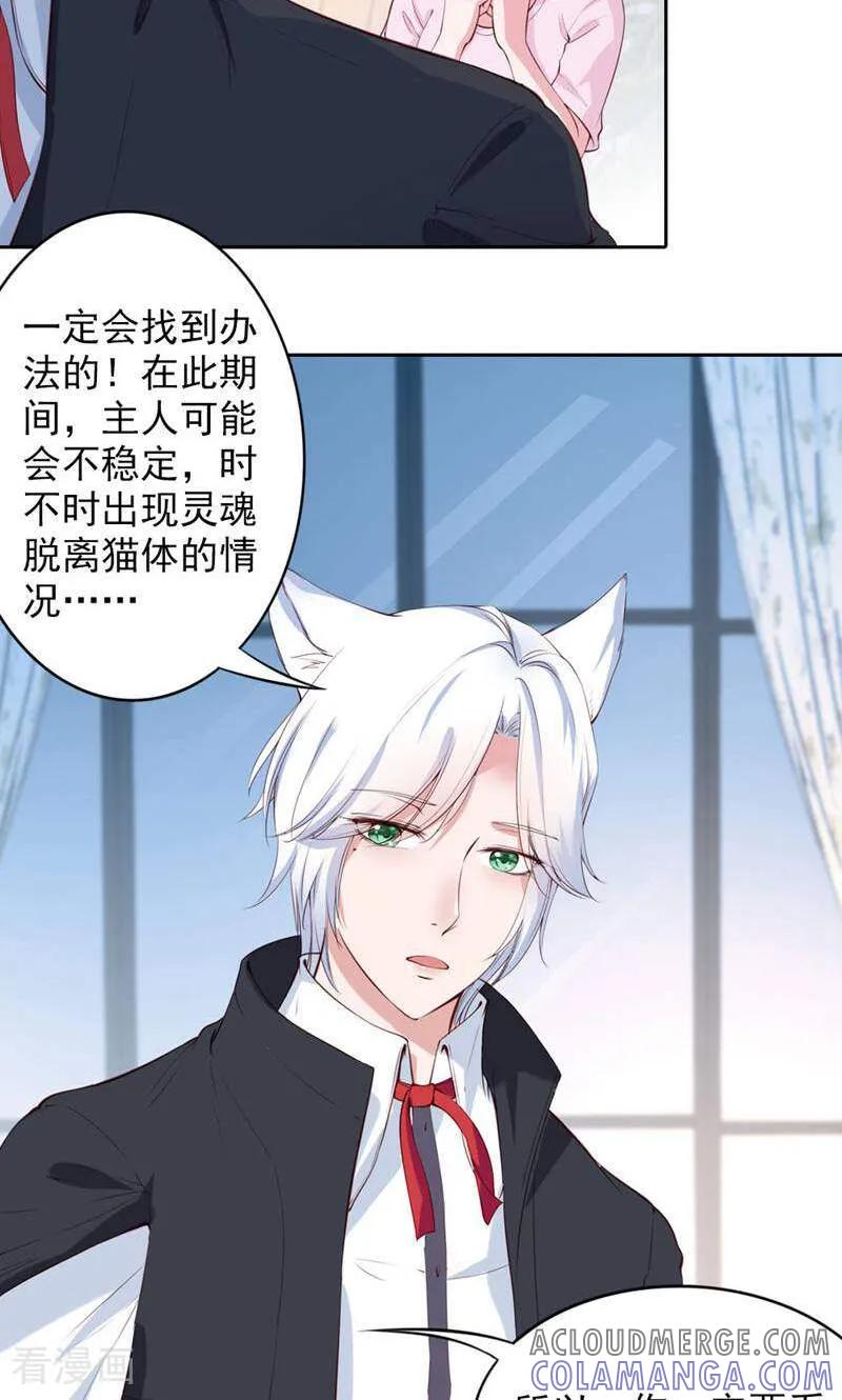 第69话-以猫的名义爱上你-咪咕数媒（第4张）
