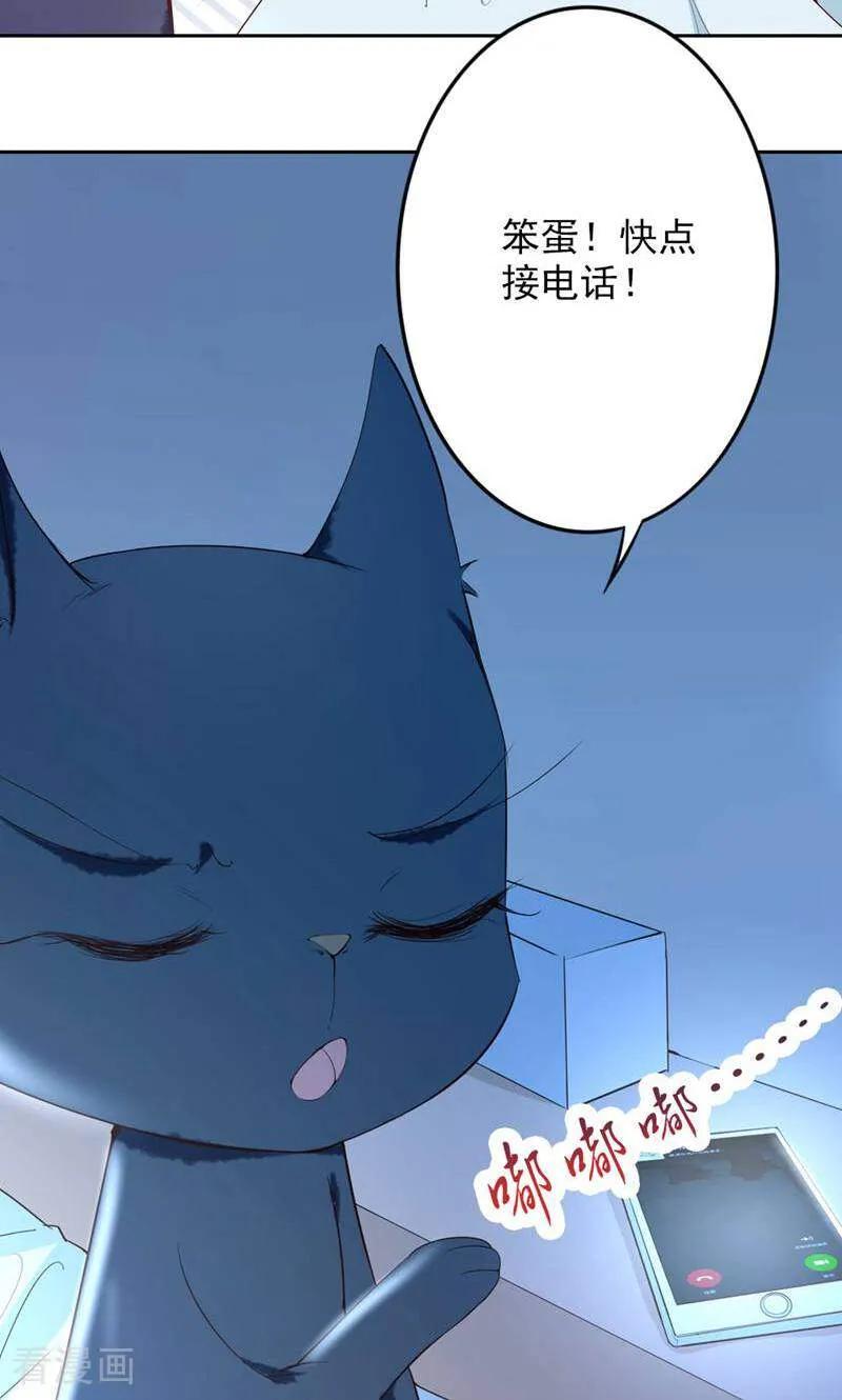 第75话-以猫的名义爱上你-咪咕数媒（第4张）