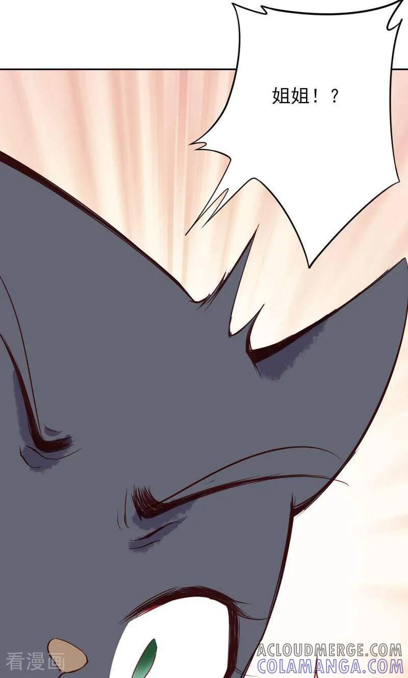 第75话-以猫的名义爱上你-咪咕数媒（第11张）