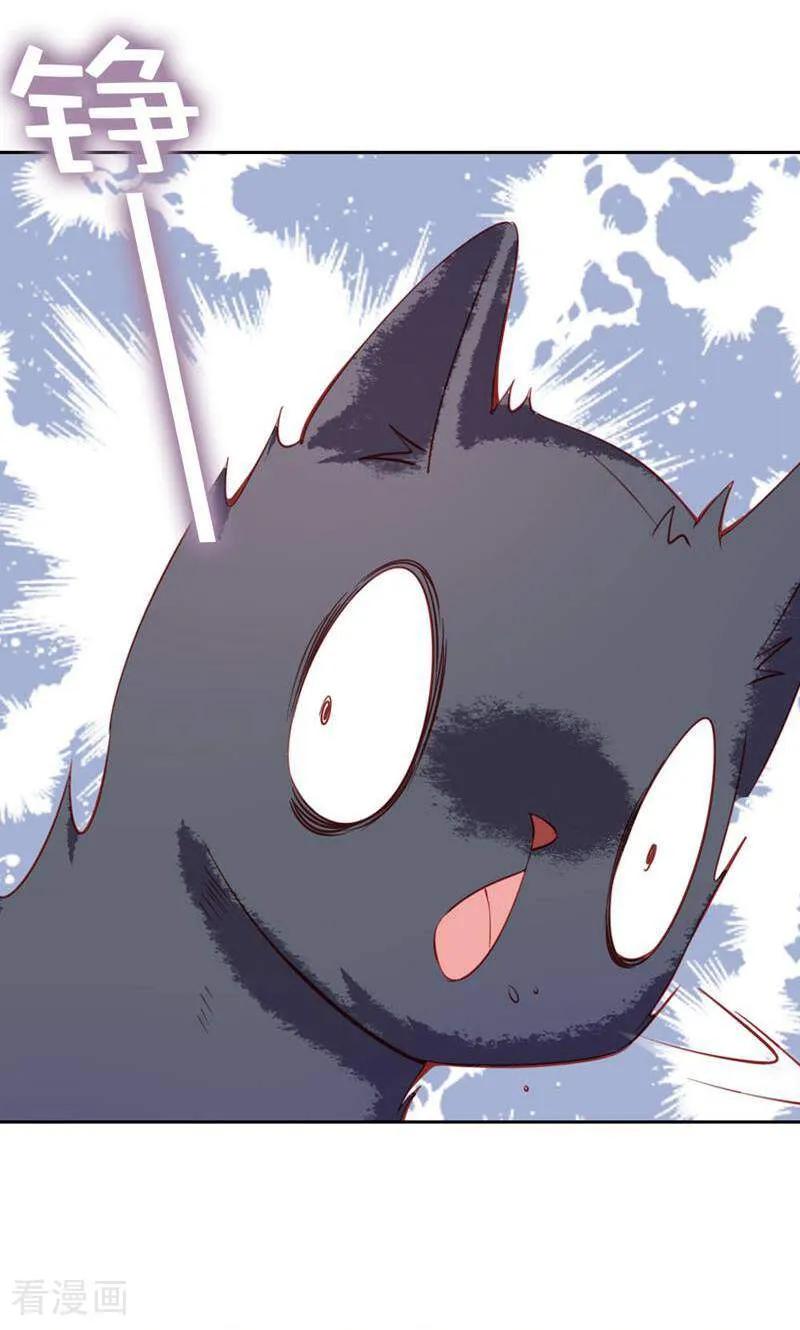 第76话-以猫的名义爱上你-咪咕数媒（第10张）
