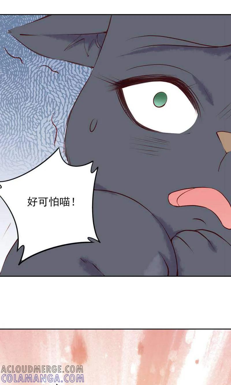 第76话-以猫的名义爱上你-咪咕数媒（第7张）