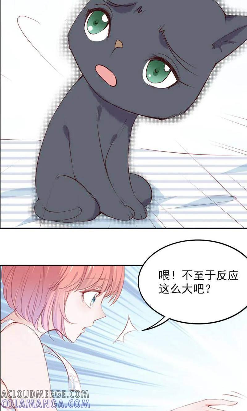 第76话-以猫的名义爱上你-咪咕数媒（第3张）