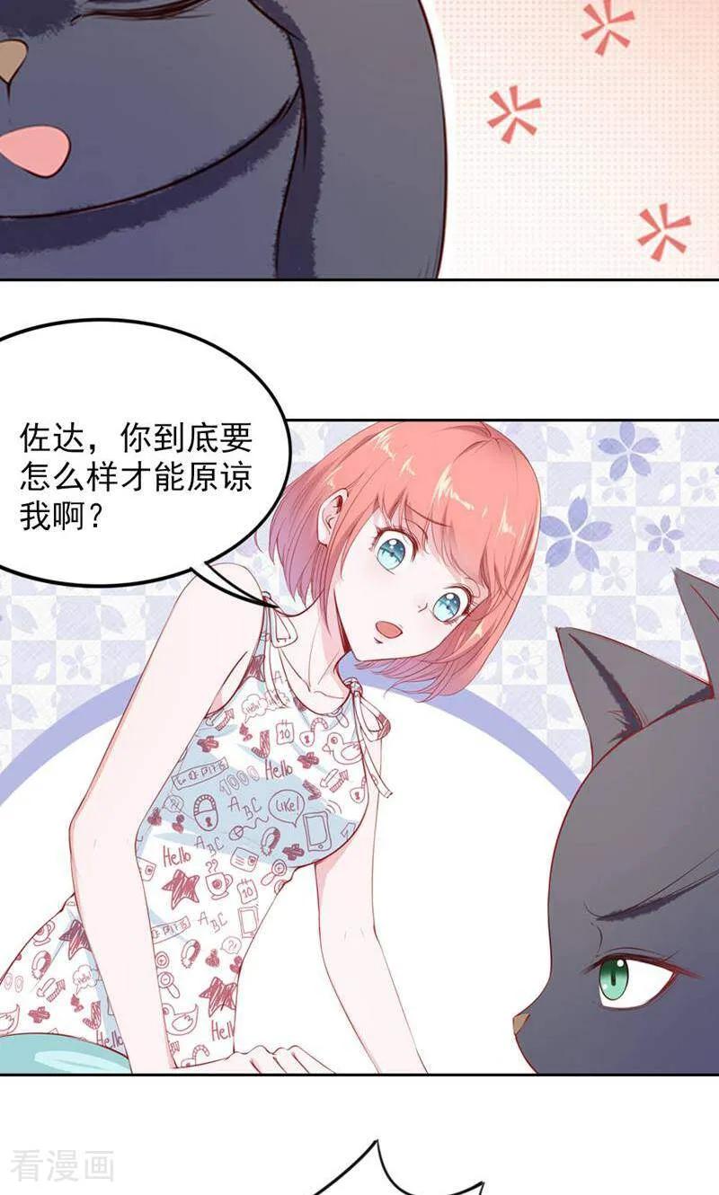 第77话-以猫的名义爱上你-咪咕数媒（第2张）