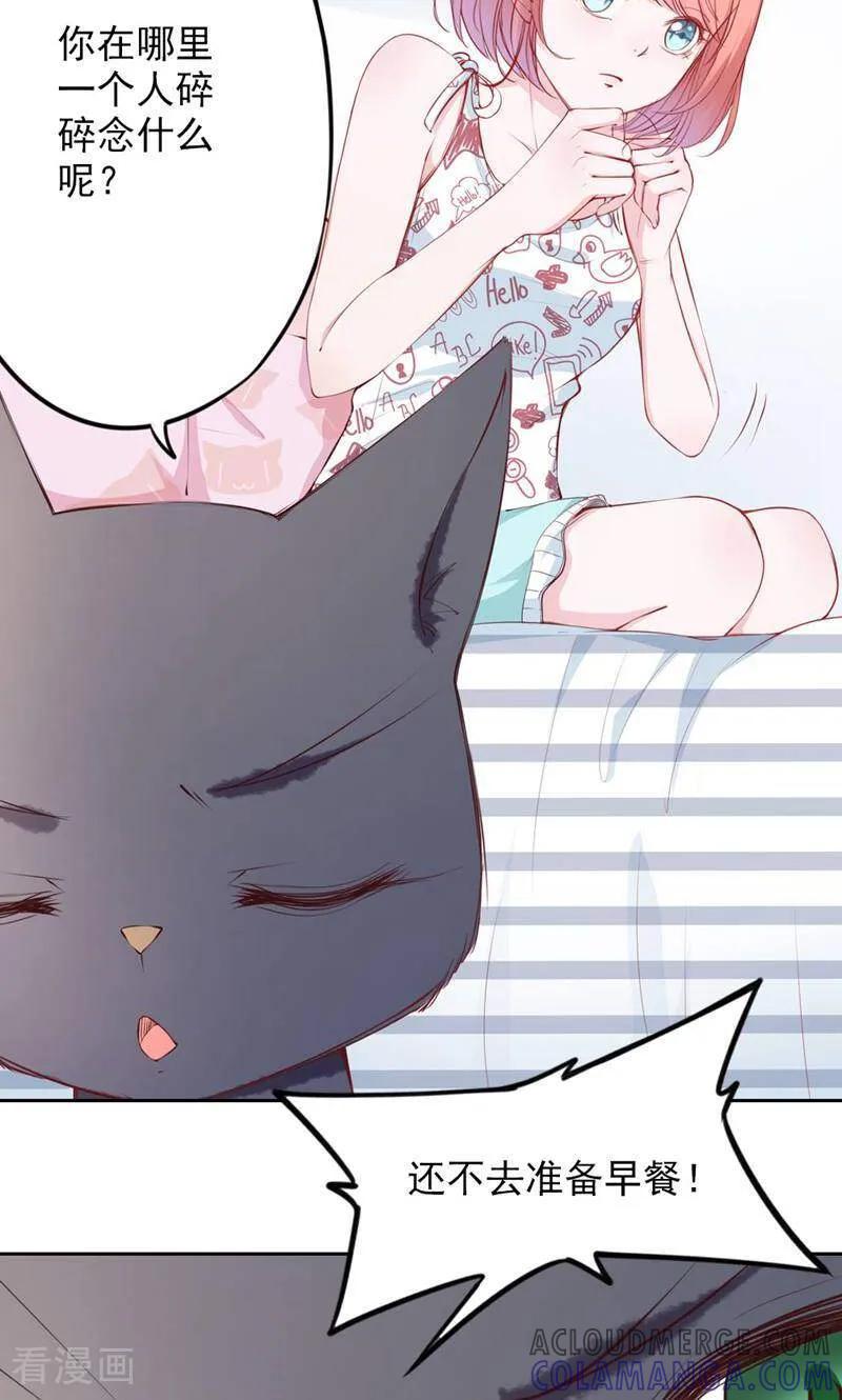 第77话-以猫的名义爱上你-咪咕数媒（第13张）