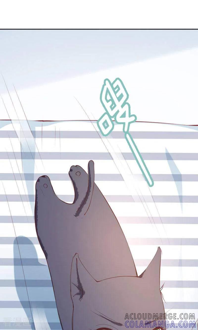 第77话-以猫的名义爱上你-咪咕数媒（第11张）