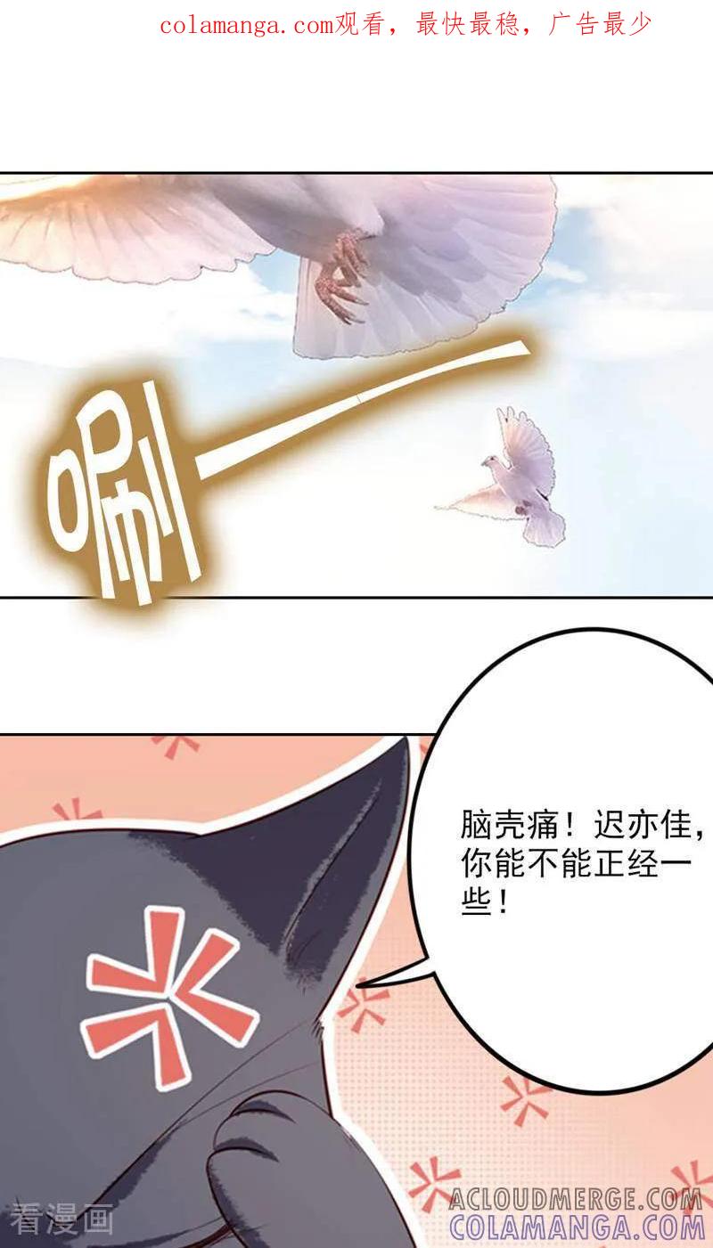 第77话-以猫的名义爱上你-咪咕数媒（第1张）