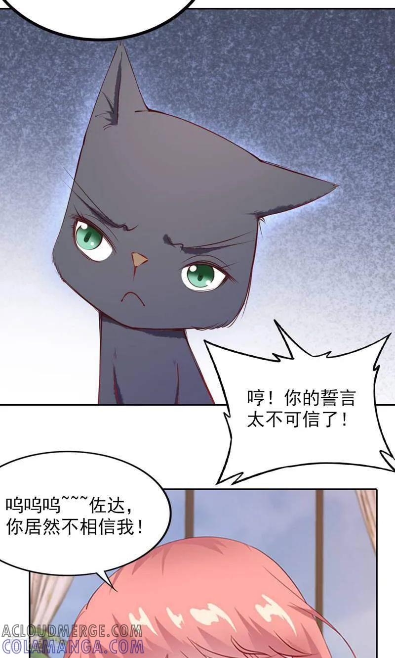 第77话-以猫的名义爱上你-咪咕数媒（第5张）