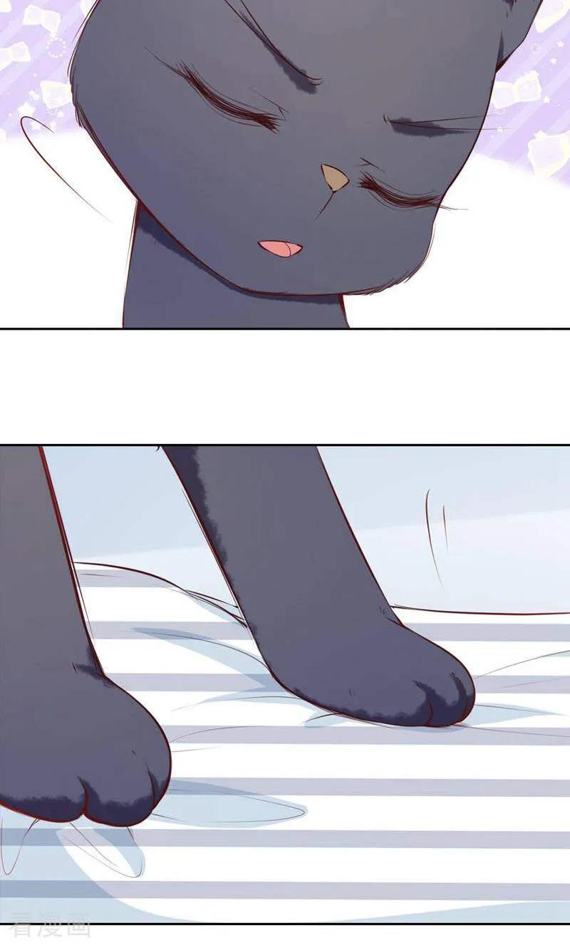 第77话-以猫的名义爱上你-咪咕数媒（第10张）