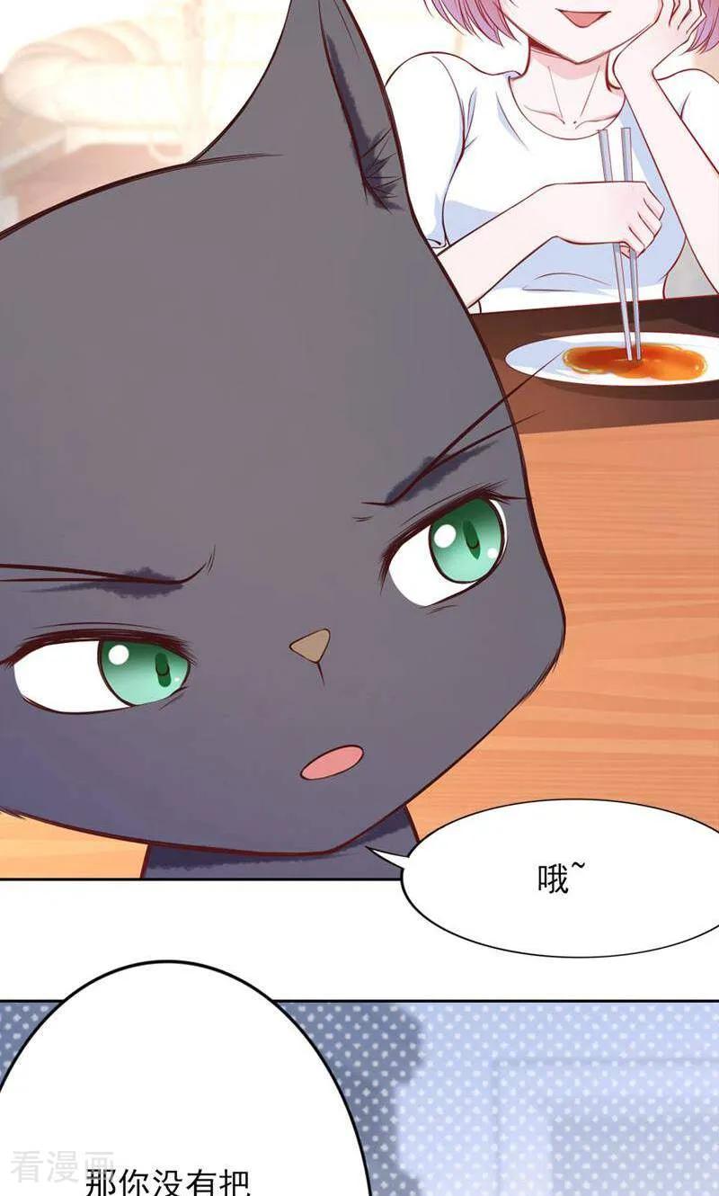 第78话-以猫的名义爱上你-咪咕数媒（第10张）