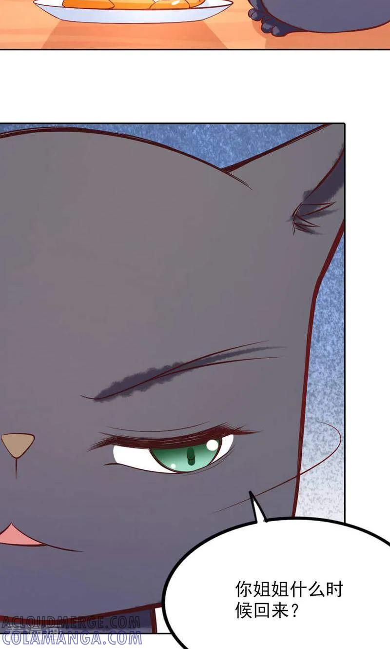 第78话-以猫的名义爱上你-咪咕数媒（第3张）