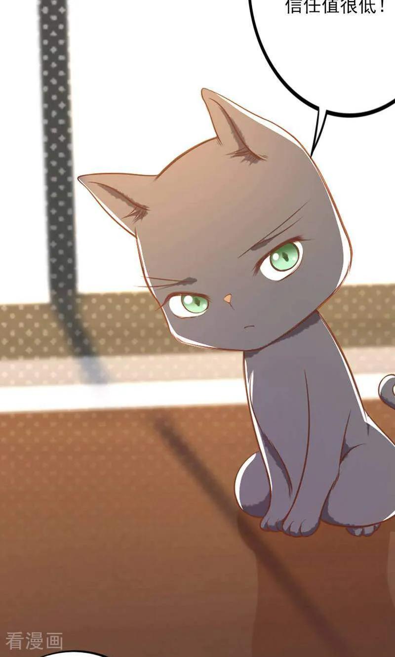 第78话-以猫的名义爱上你-咪咕数媒（第14张）