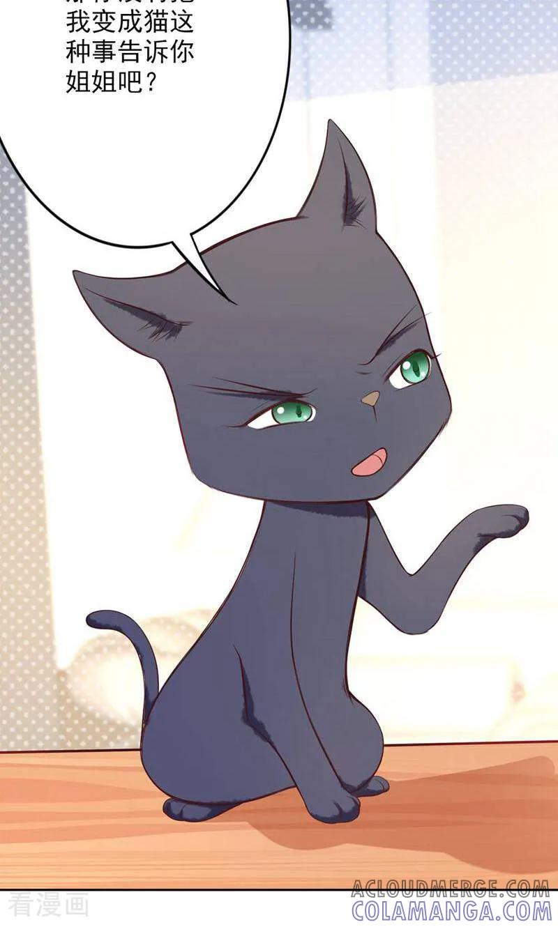第78话-以猫的名义爱上你-咪咕数媒（第11张）