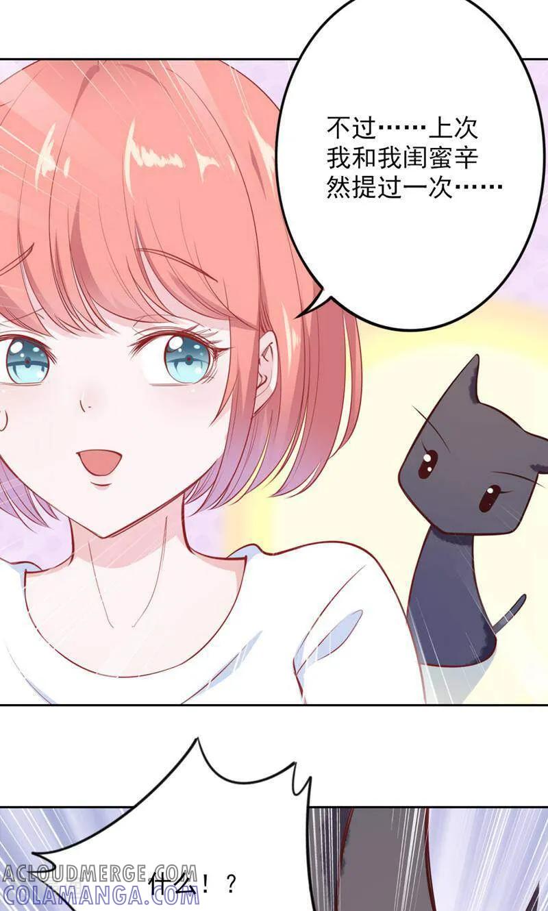 第78话-以猫的名义爱上你-咪咕数媒（第17张）