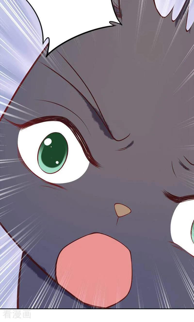 第78话-以猫的名义爱上你-咪咕数媒（第18张）