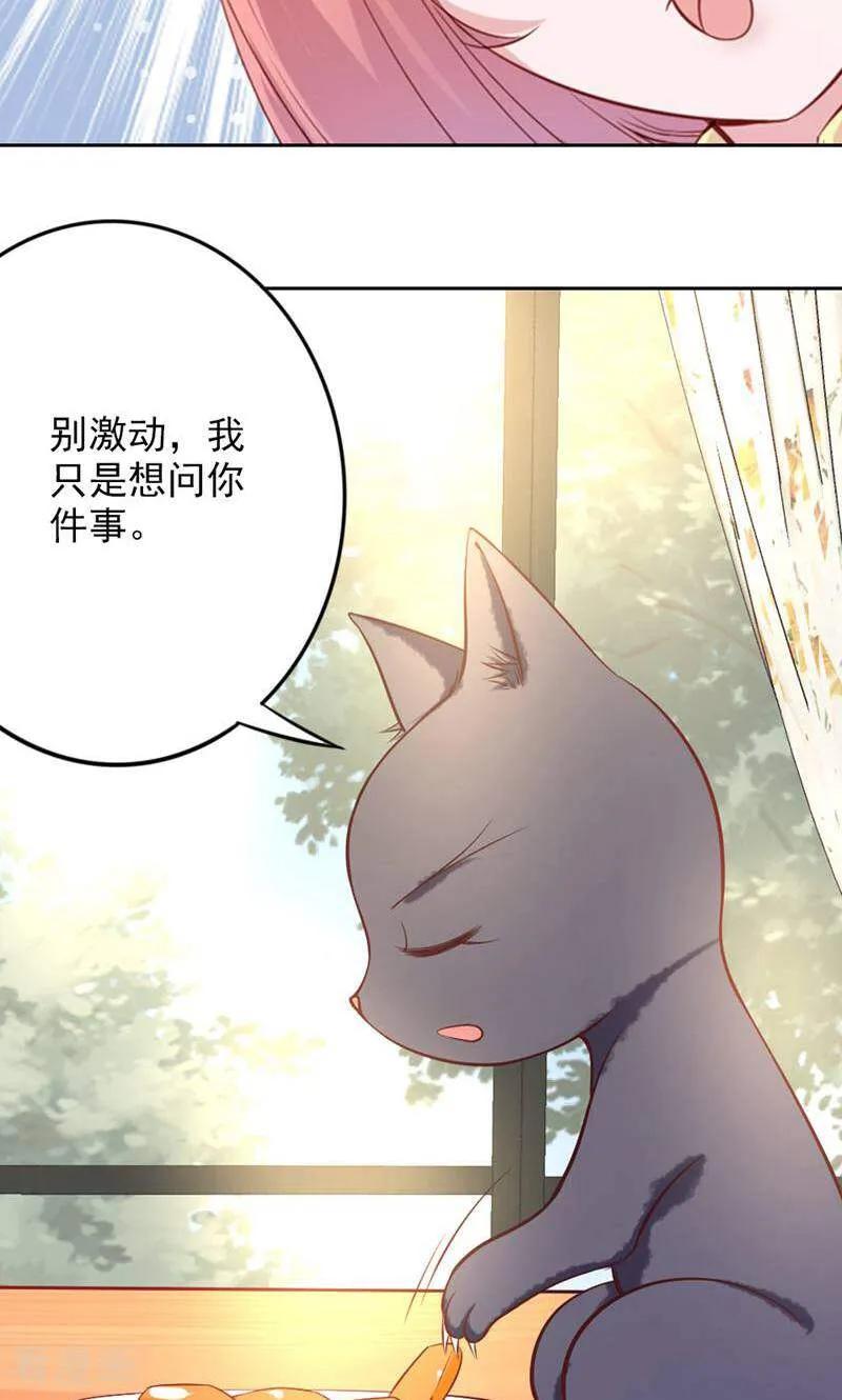 第78话-以猫的名义爱上你-咪咕数媒（第2张）