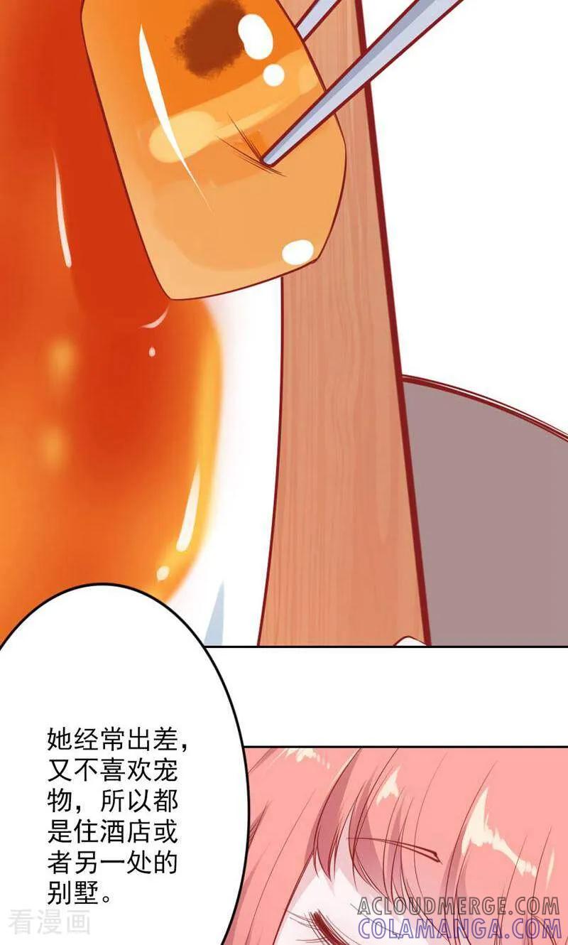 第78话-以猫的名义爱上你-咪咕数媒（第7张）