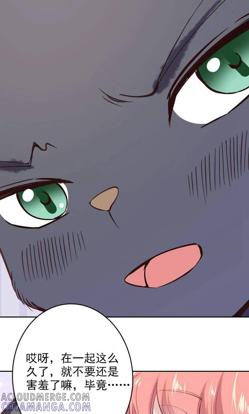 第79话-以猫的名义爱上你-咪咕数媒（第5张）